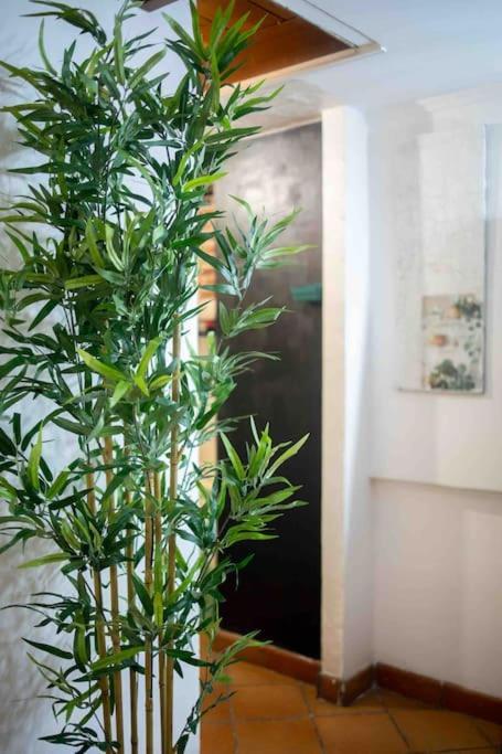 Via Dei Cestari Loft Appartement Rome Buitenkant foto